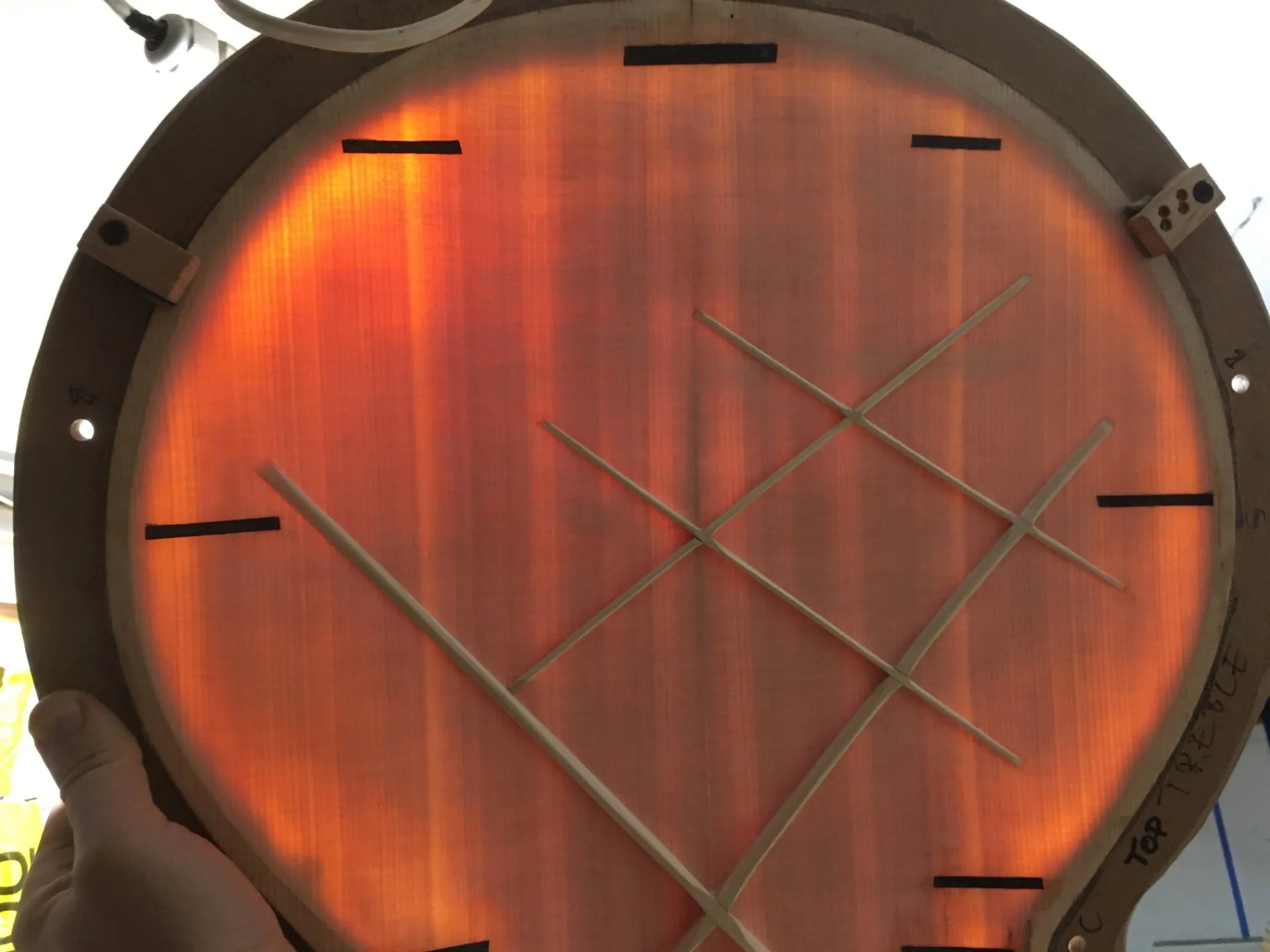 Translucent spruce top plate showing bracing under backlight