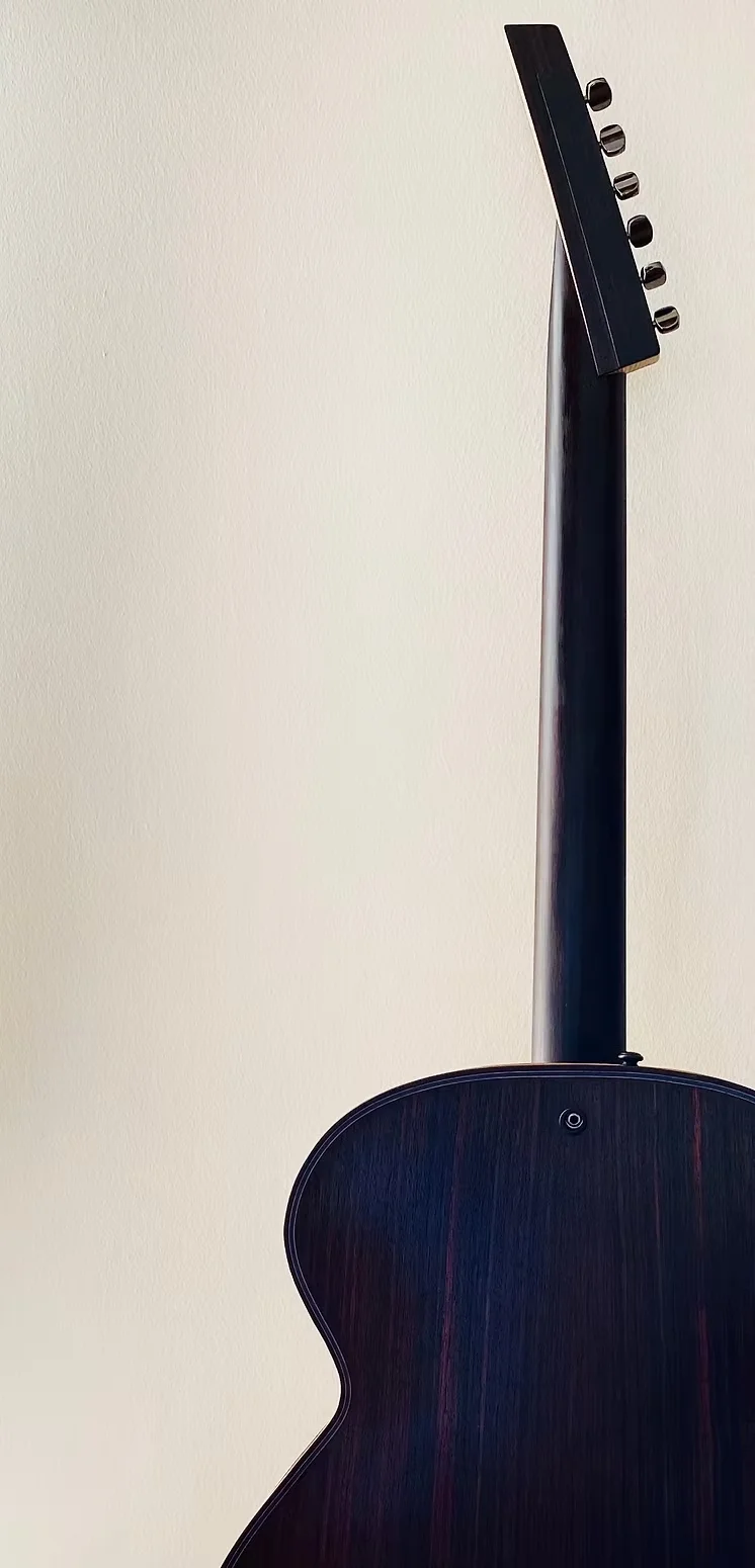 Dark Matter archtop guitar
