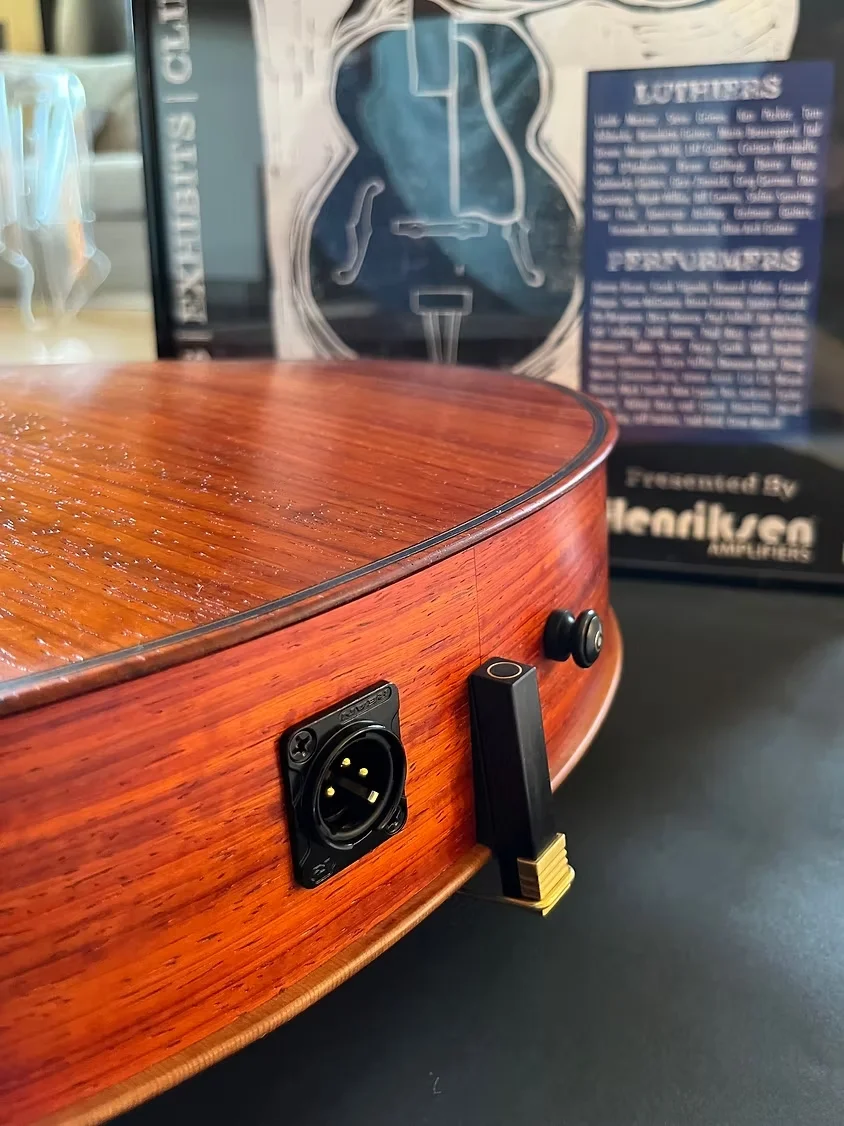 Archtop guitar side section with input connector