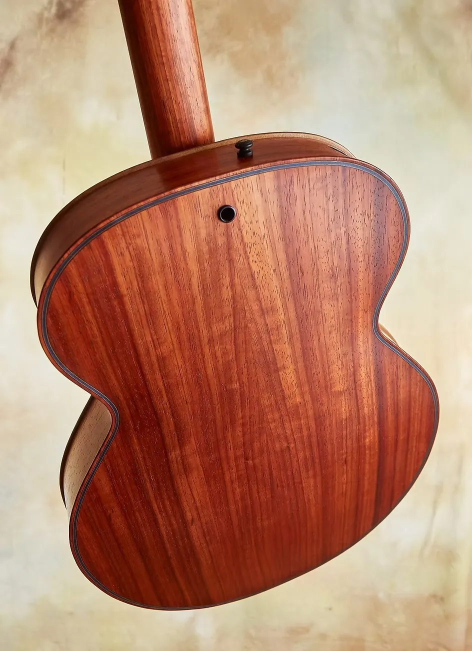 Body Back View
