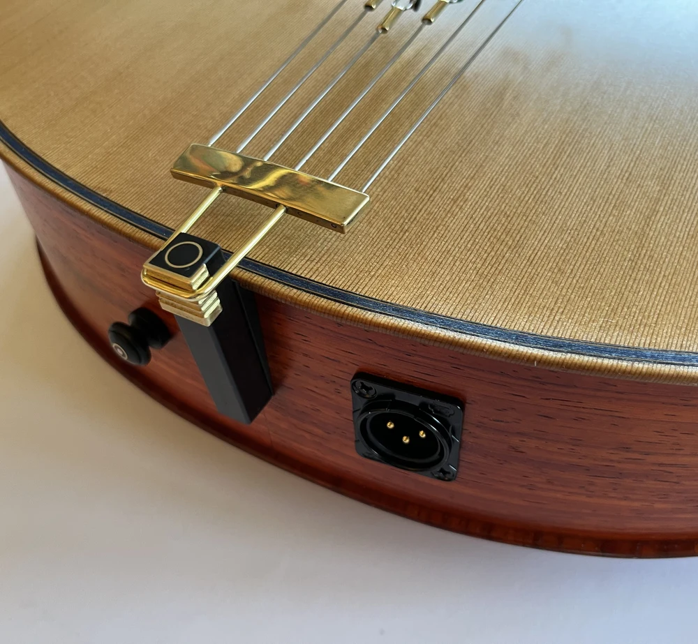 Blue Arch Guitar detail