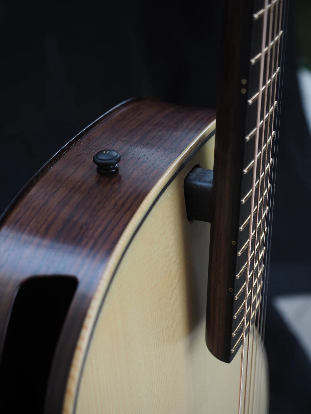 Blue Arch Guitar detail