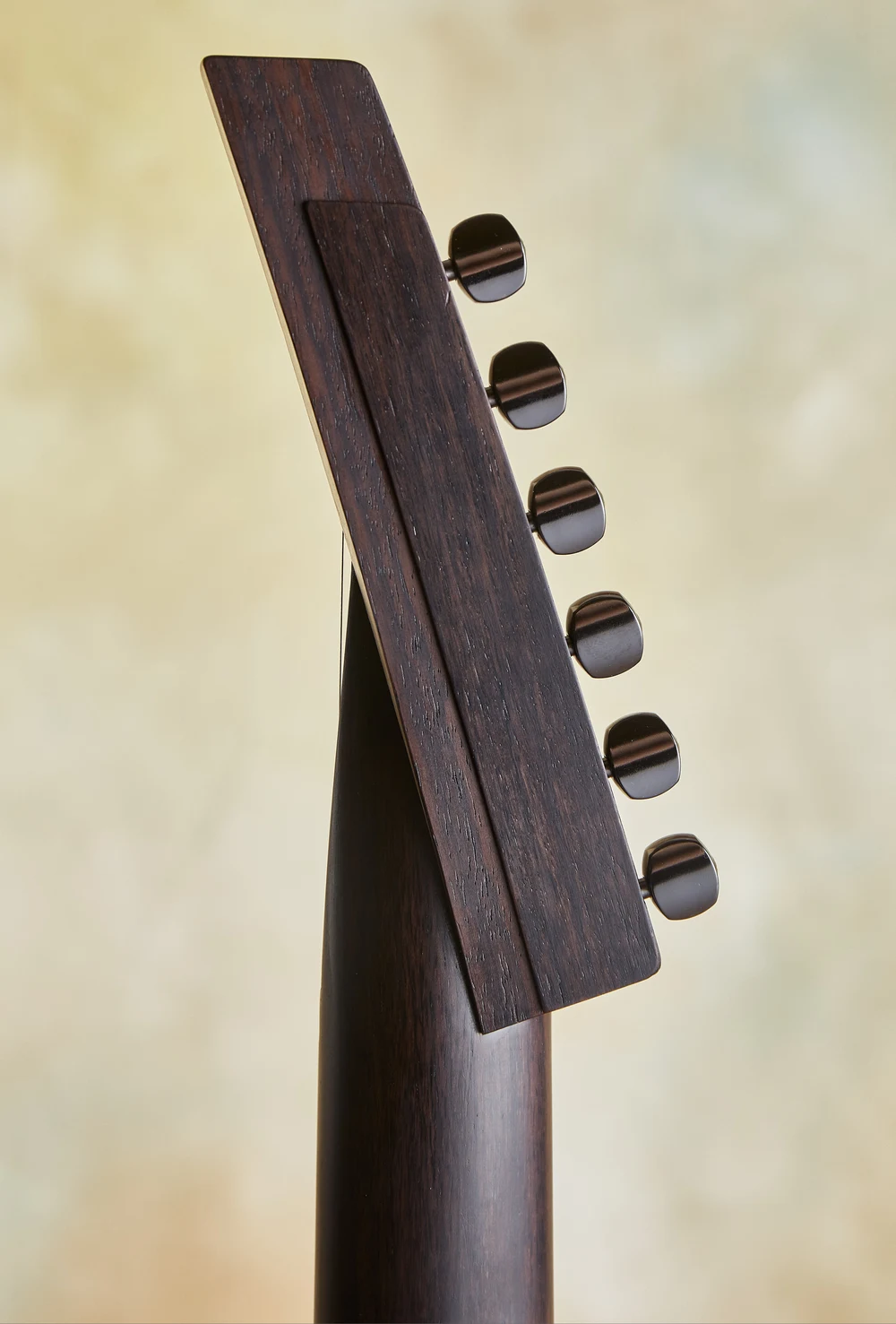 Blue Arch Guitar detail