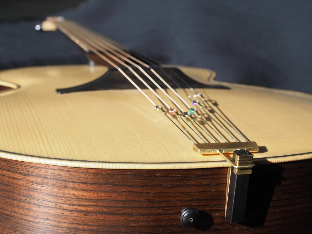 Blue Arch Guitar detail