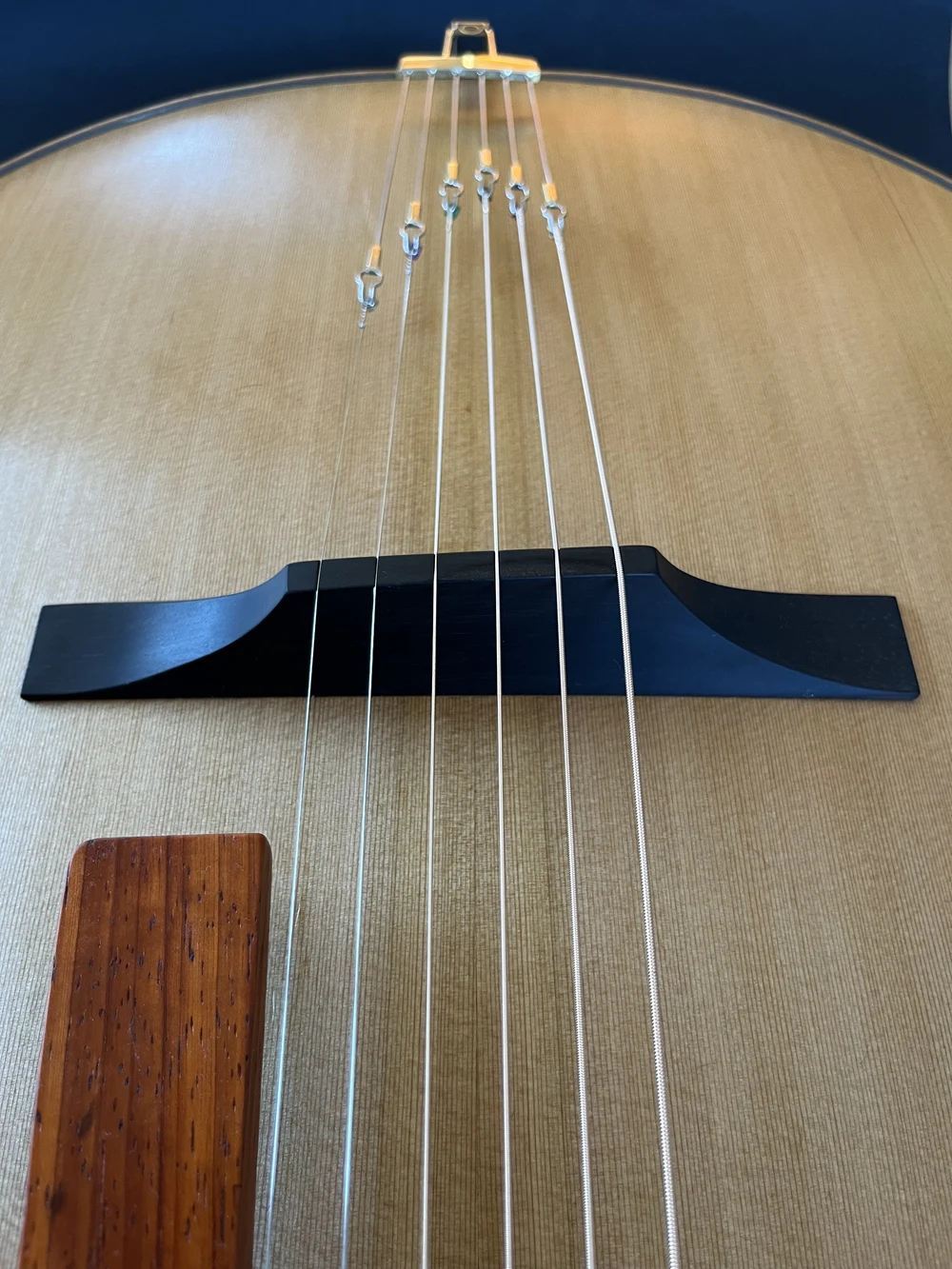 Blue Arch Guitar detail