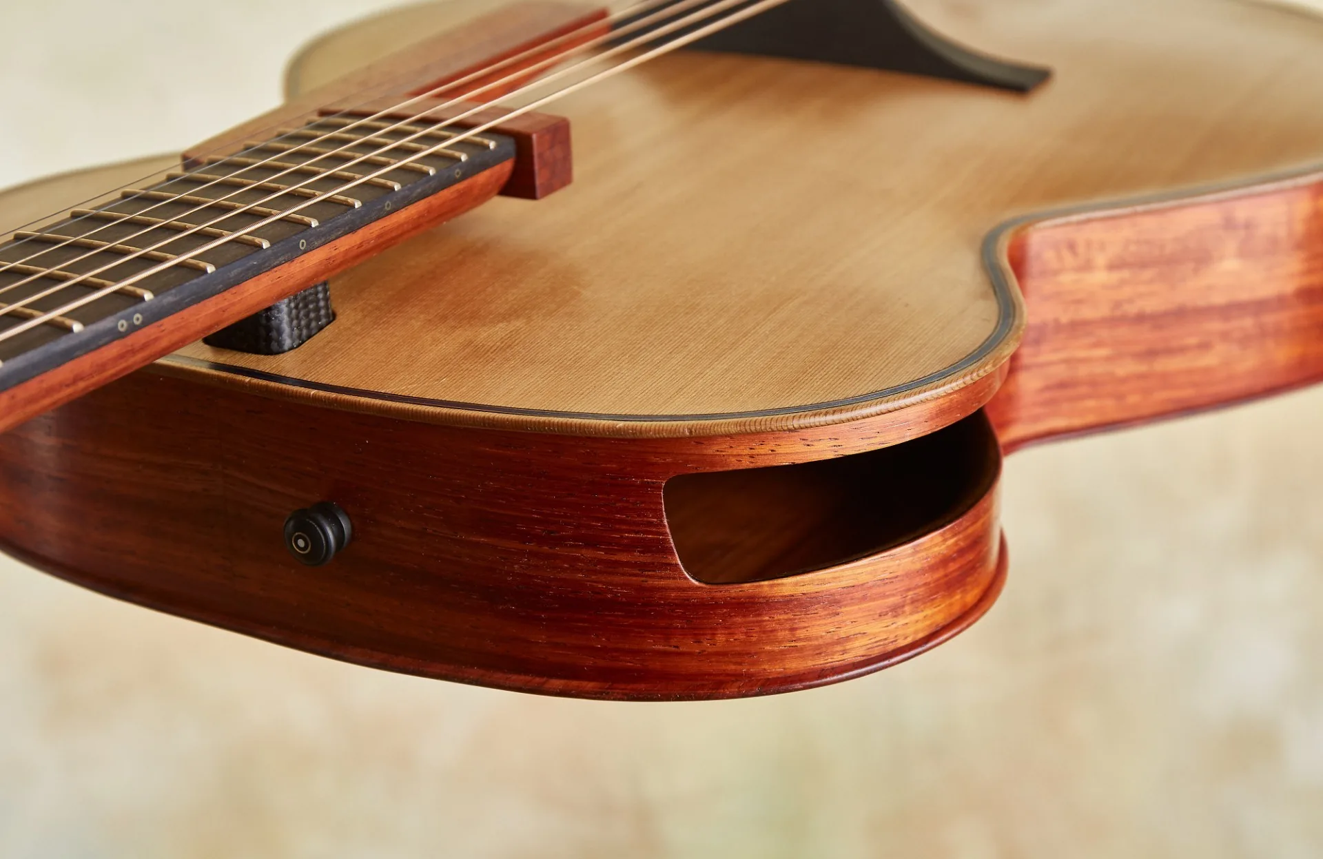 Blue Arch Guitar Details 1