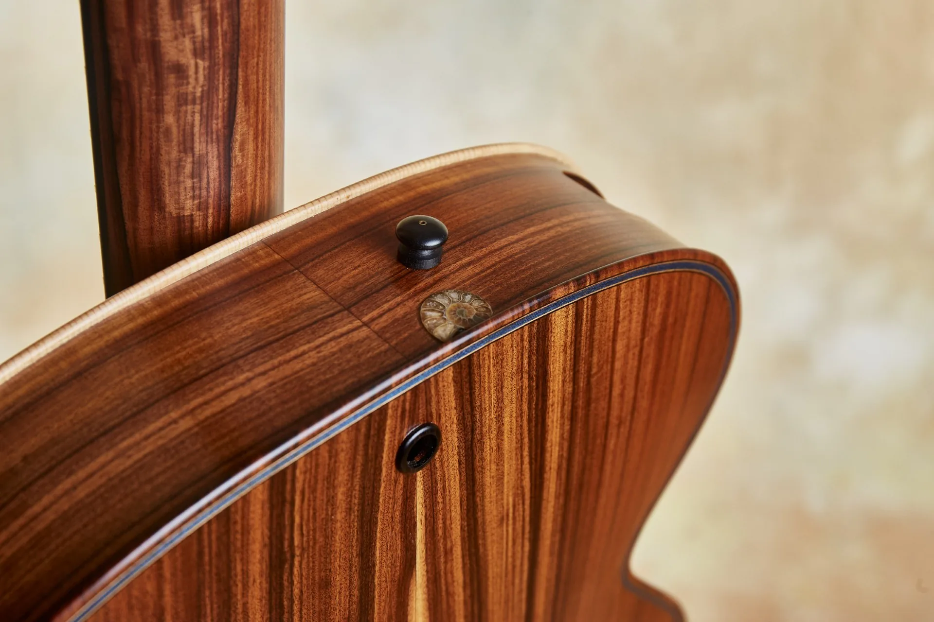 Blue Arch Guitar Details 10