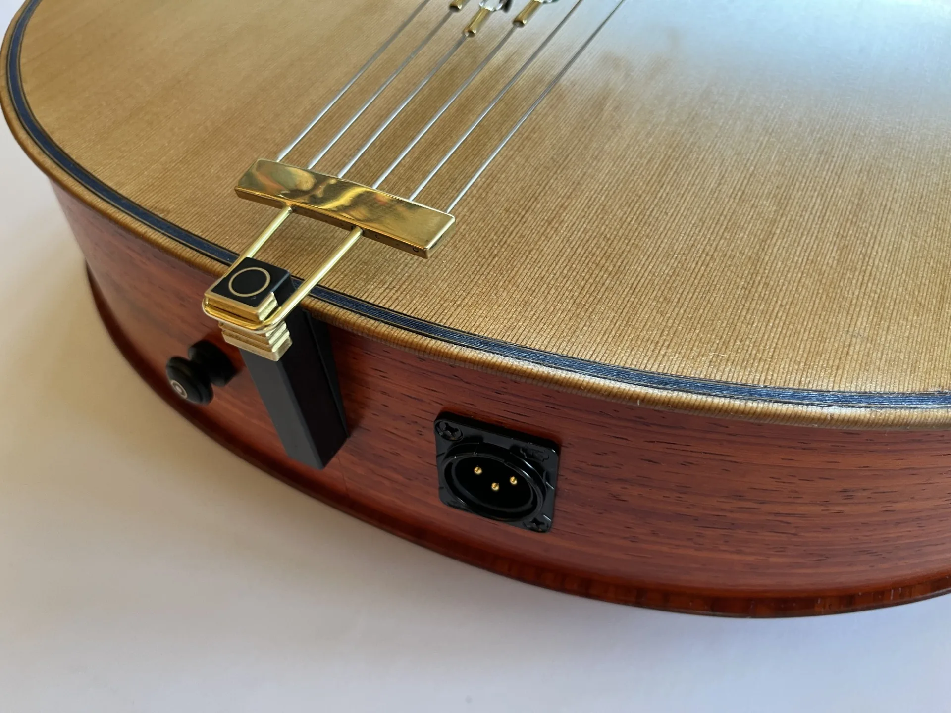 Blue Arch Guitar Details 4