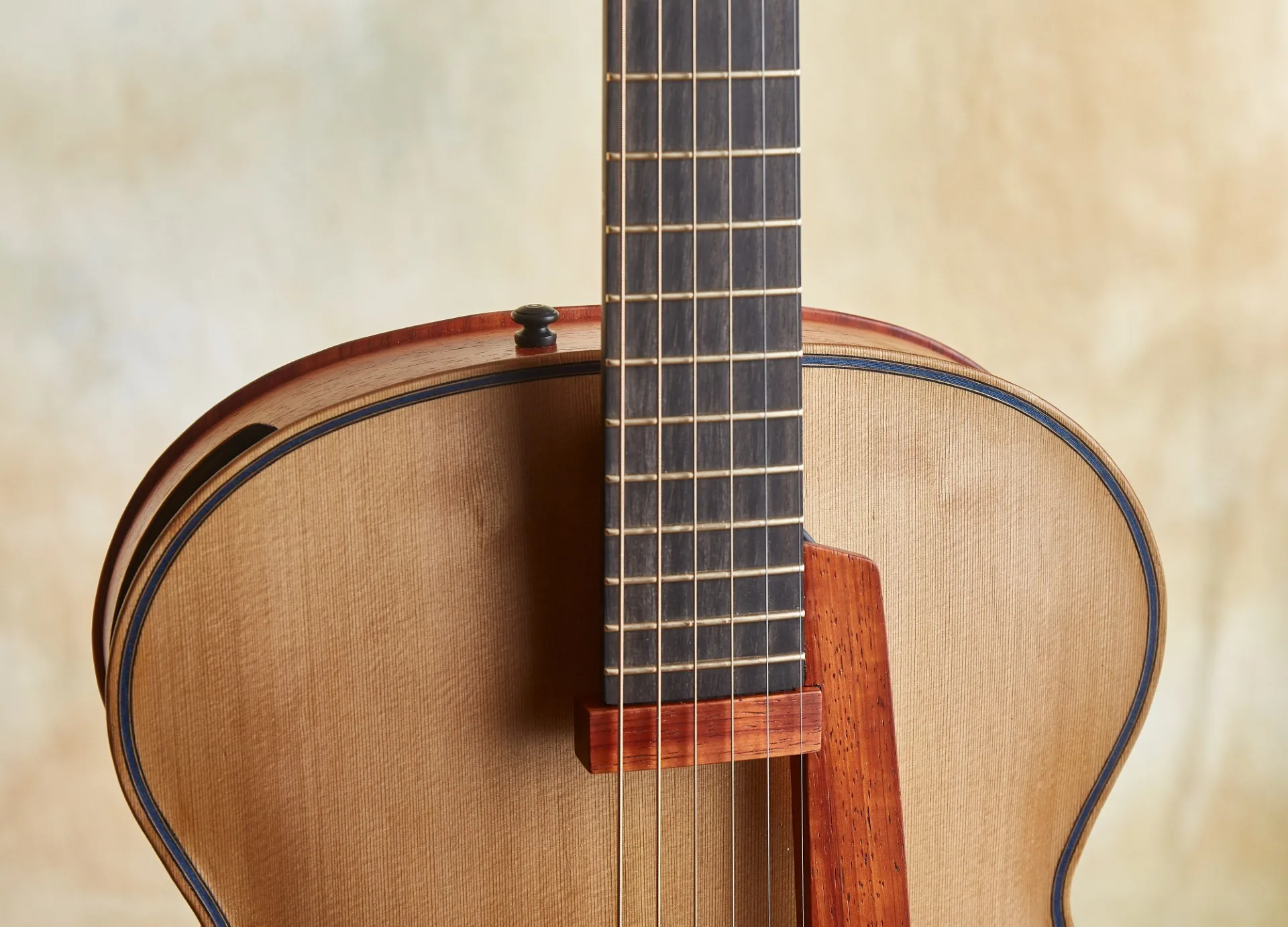 Blue Arch Guitar Details 6